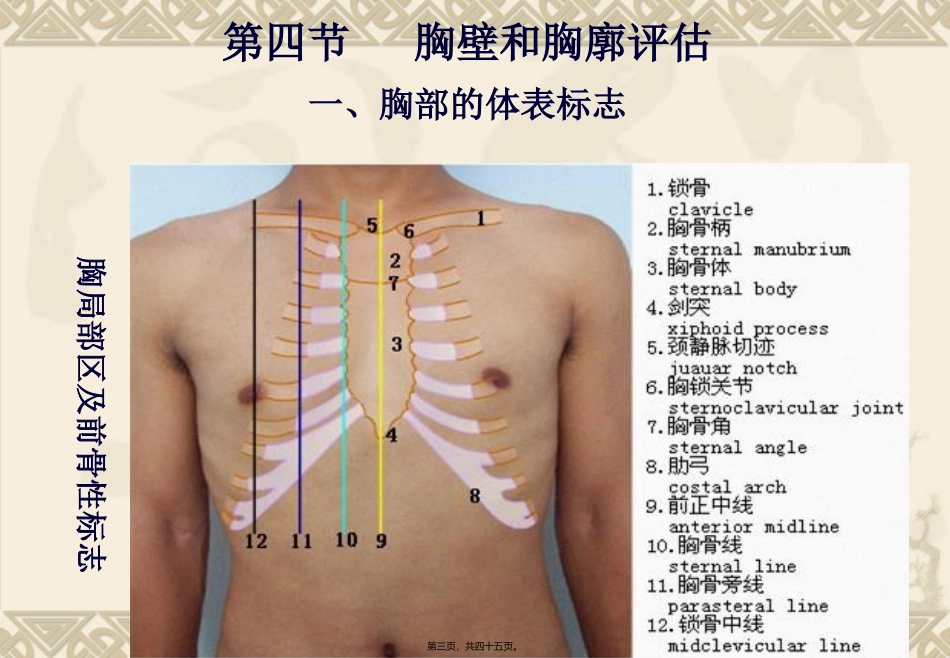 chapter4肺与胸膜评估_第3页