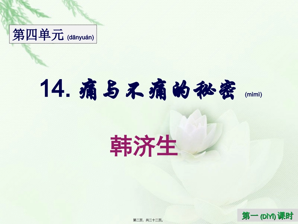 2022年医学专题—最新痛与不痛的秘密_第2页