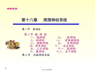 chapter脑神经精讲