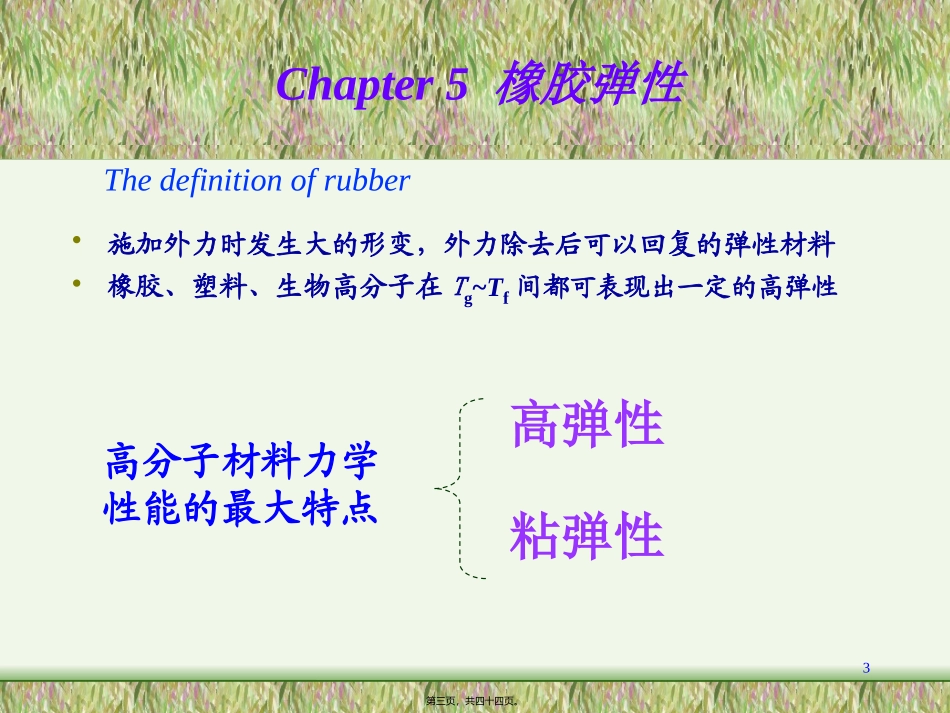 chapter橡胶高弹性精讲_第3页