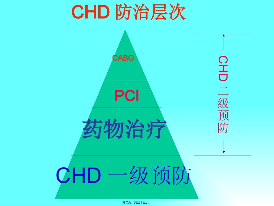 CHD合理用药及误区_第2页
