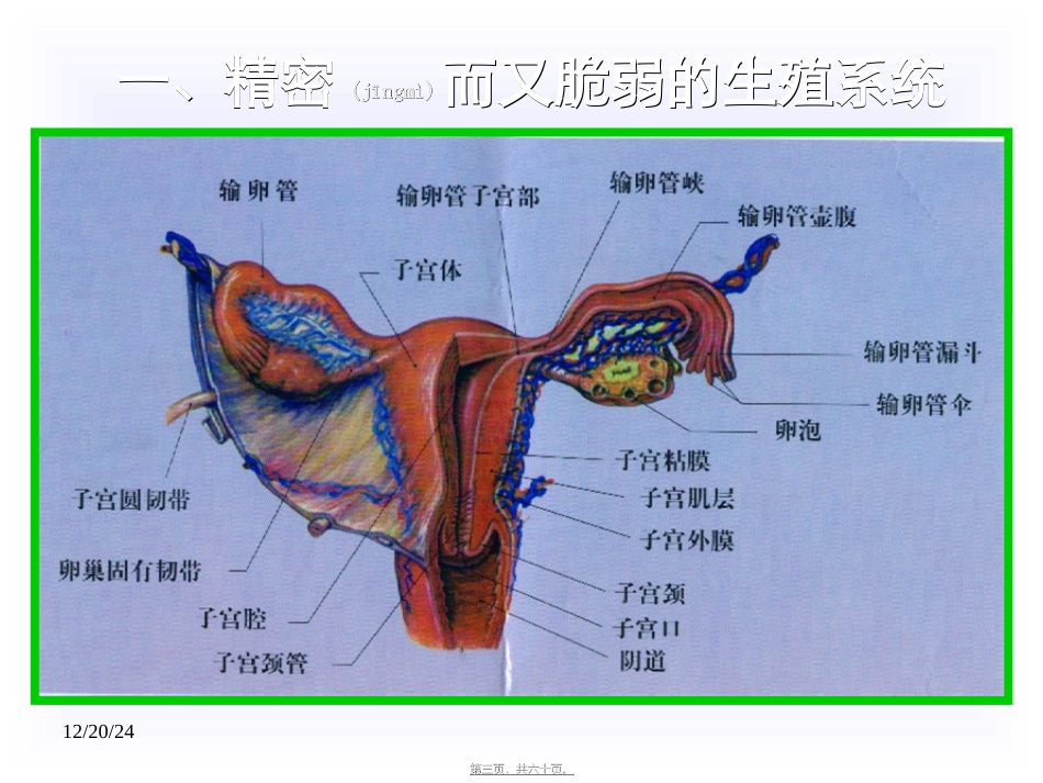 2022年医学专题—最新整理女性生殖健康讲座_第3页