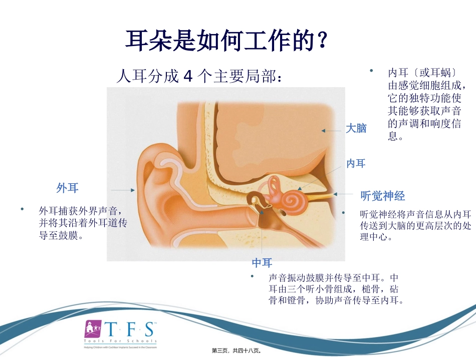 CIEP讲稿---人工耳蜗知识入门_第3页