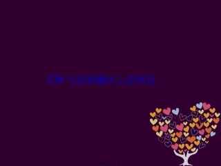 CIN与宫颈鳞状上皮病变