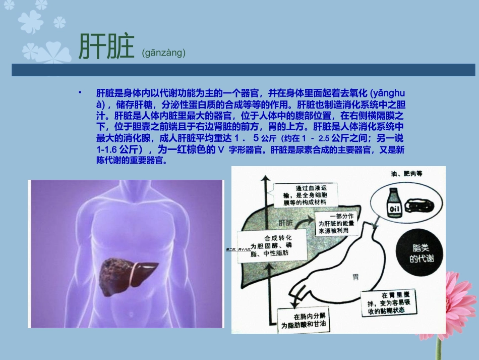 2022年医学专题—最新专家讲解慢性病之肝病-河北肝硬化医院-PPT文档_第2页