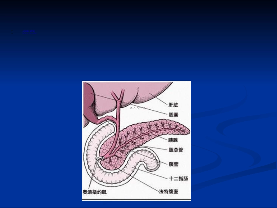 2022年医学专题—最新最全-胰岛素的种类及用法_第2页