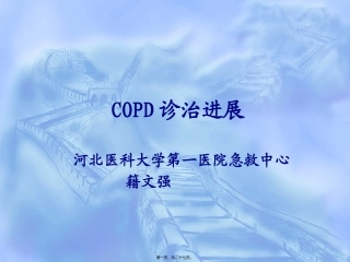 COPD诊治进展
