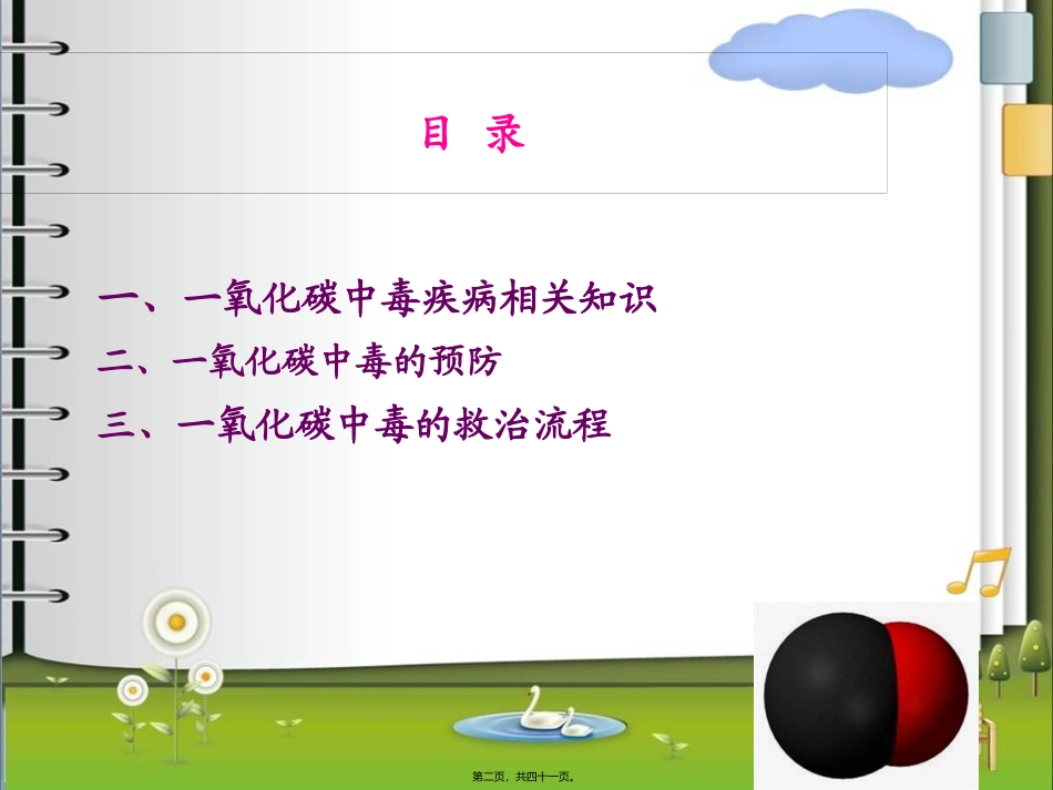 CO中毒的宣教_第2页