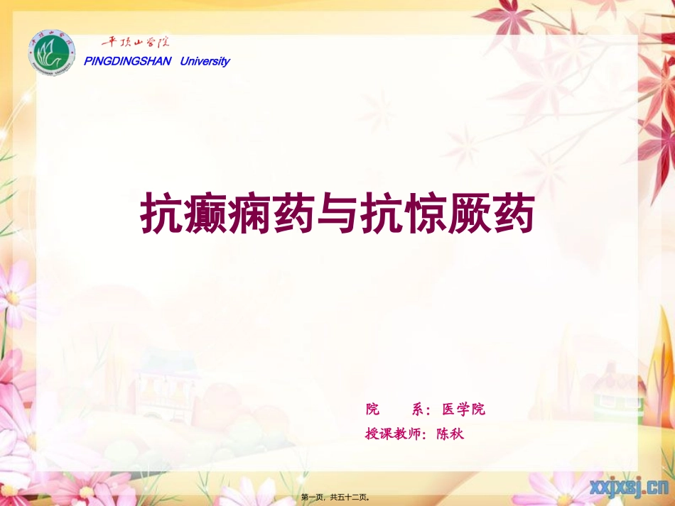 cq13抗癫痫、抗惊厥药教程_第1页