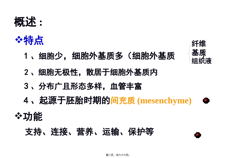 cq结缔组织_第2页