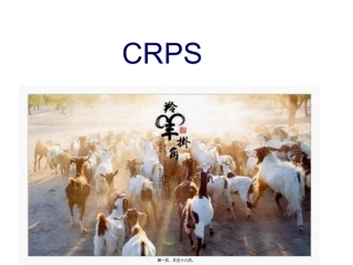 CRPs-复杂性区域疼痛综合征