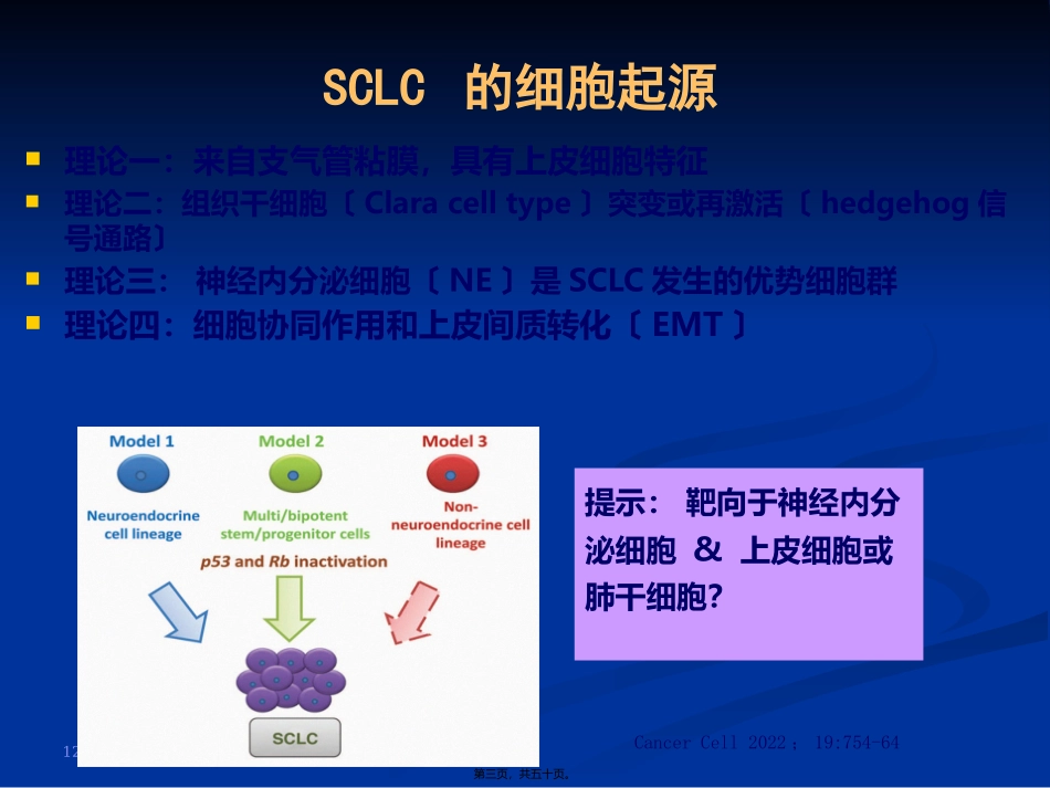 CSCO小细胞肺癌_第3页