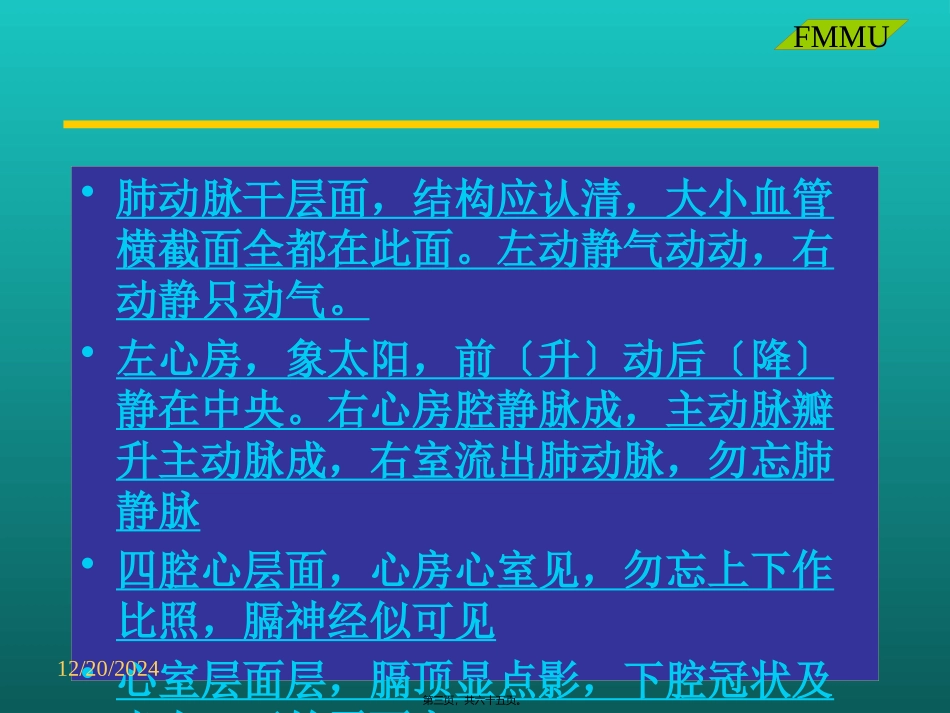 CT(胸部)读片(西京医院)_第3页