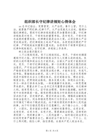 组织部长守纪律讲规矩心得体会