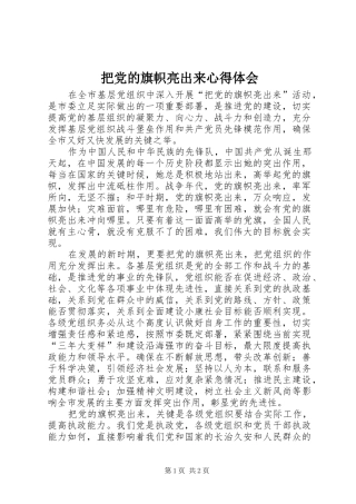把党的旗帜亮出来心得体会