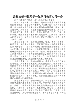 县党支部书记两学一做学习教育心得体会