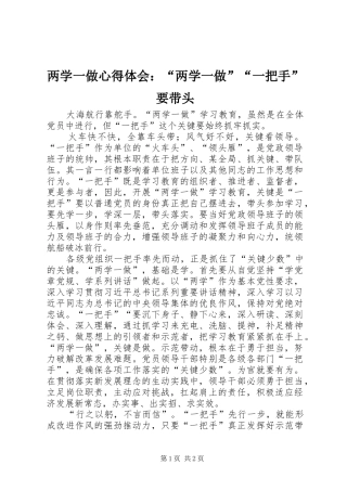 两学一做心得体会：“两学一做”“一把手”要带头