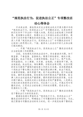 “规范执法行为，促进执法公正”专项整改活动心得体会