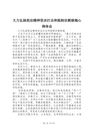大力弘扬宪法精神坚决打击和抵制宗教极端心得体会
