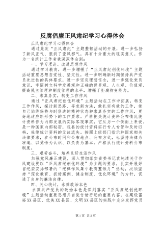 反腐倡廉正风肃纪学习心得体会
