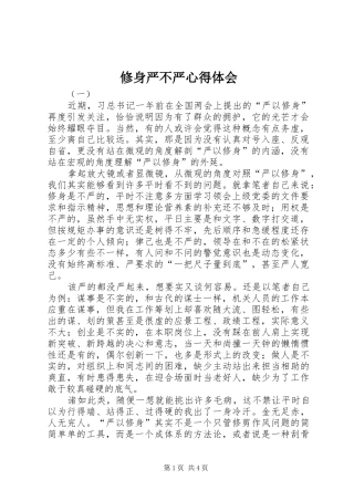 修身严不严心得体会