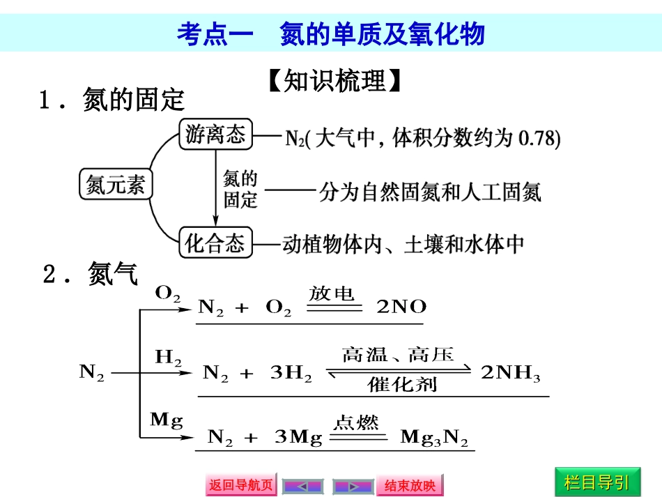 氮及其化合物_第3页