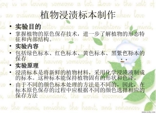 植物浸渍标本制作