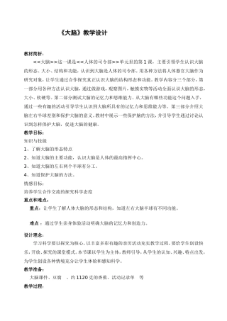 大脑教学设计