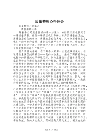 质量整顿心得体会