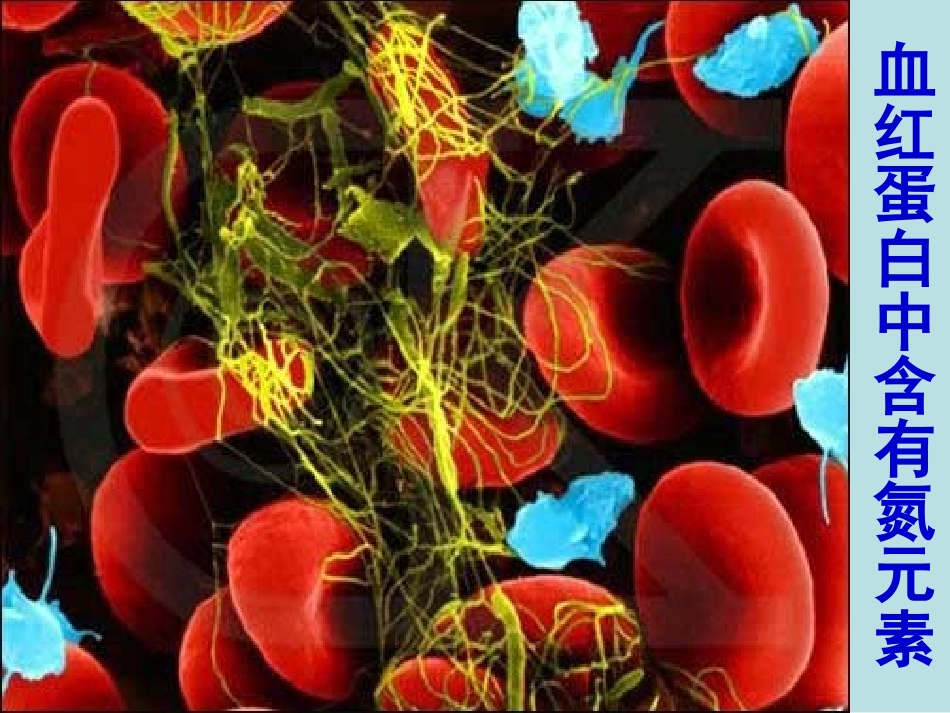 第2单元课时1PPT (2)_第2页