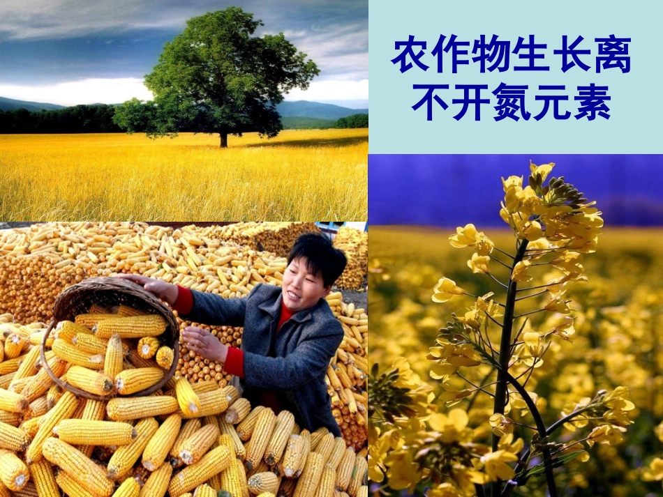 第2单元课时1PPT (2)_第3页