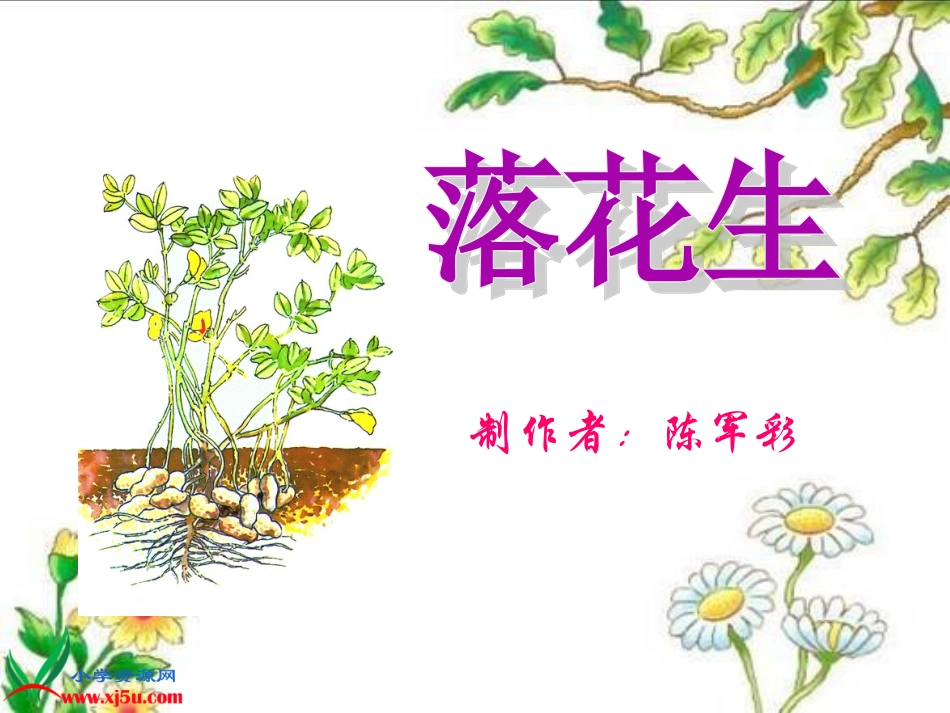 四年级语文下册《7、落花生》第二课时课件_第1页