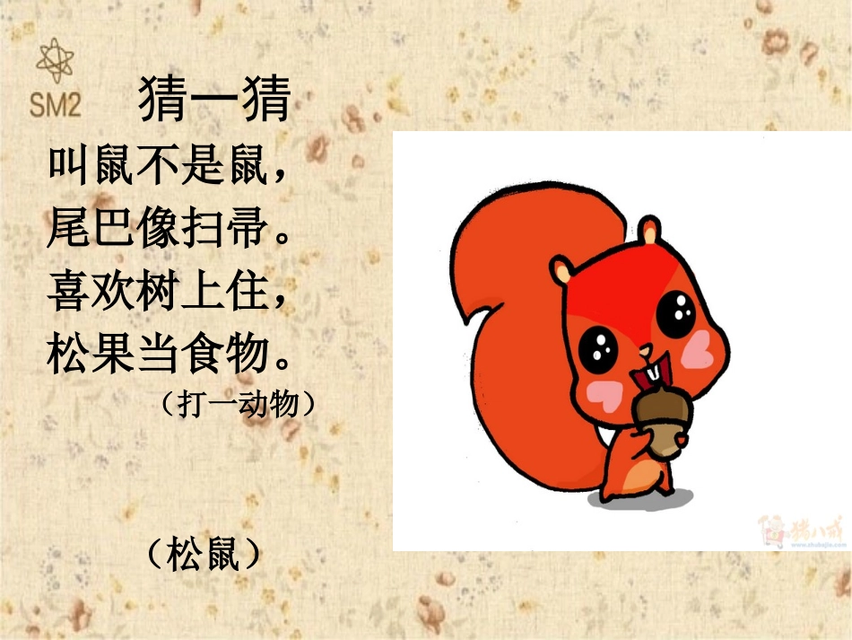 《跑进家来的松鼠》公开课PPT_第1页