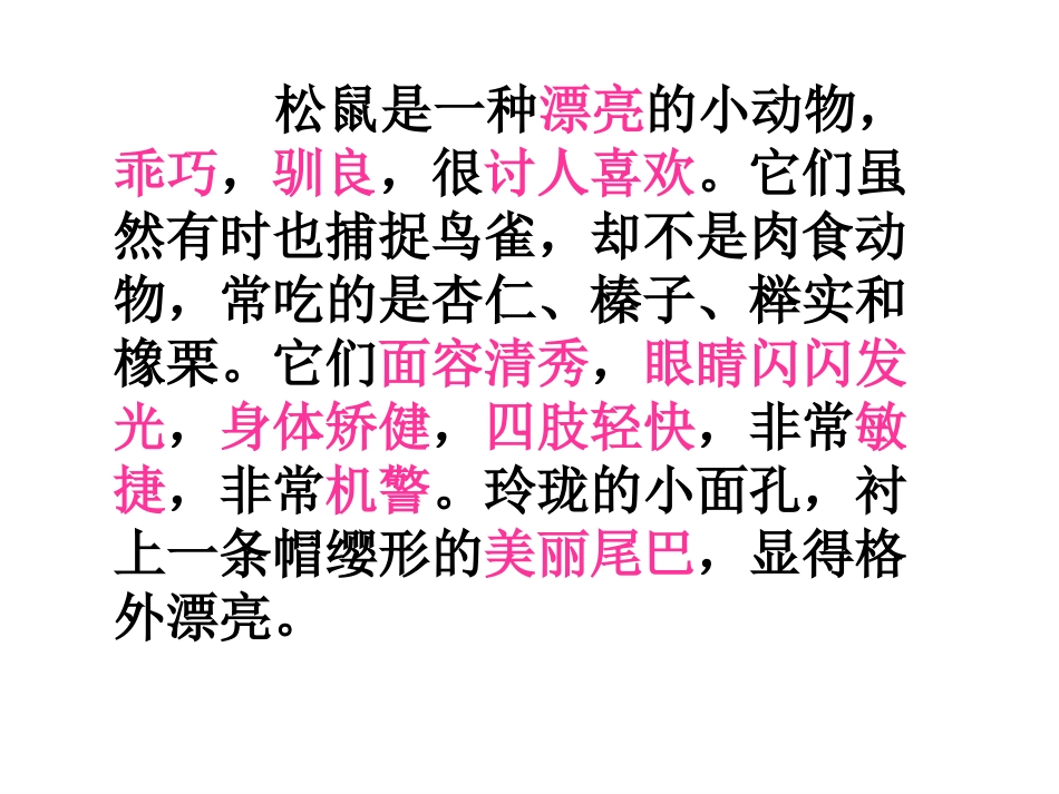 《跑进家来的松鼠》公开课PPT_第3页