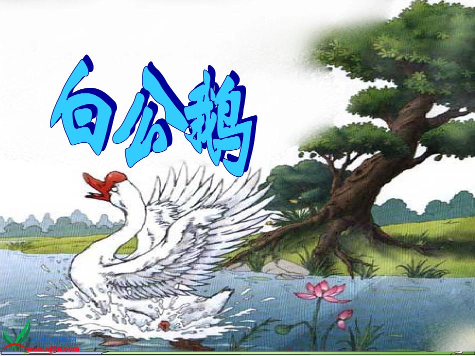 白公鹅(完整课件) (2)_第2页