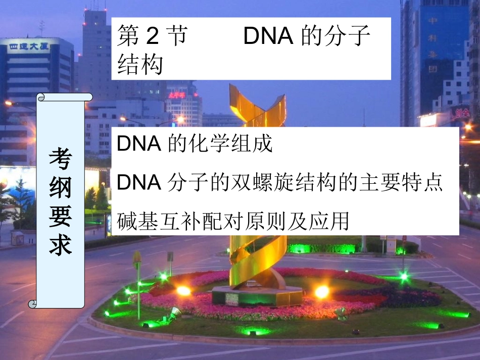 复习DNA的结构_第1页