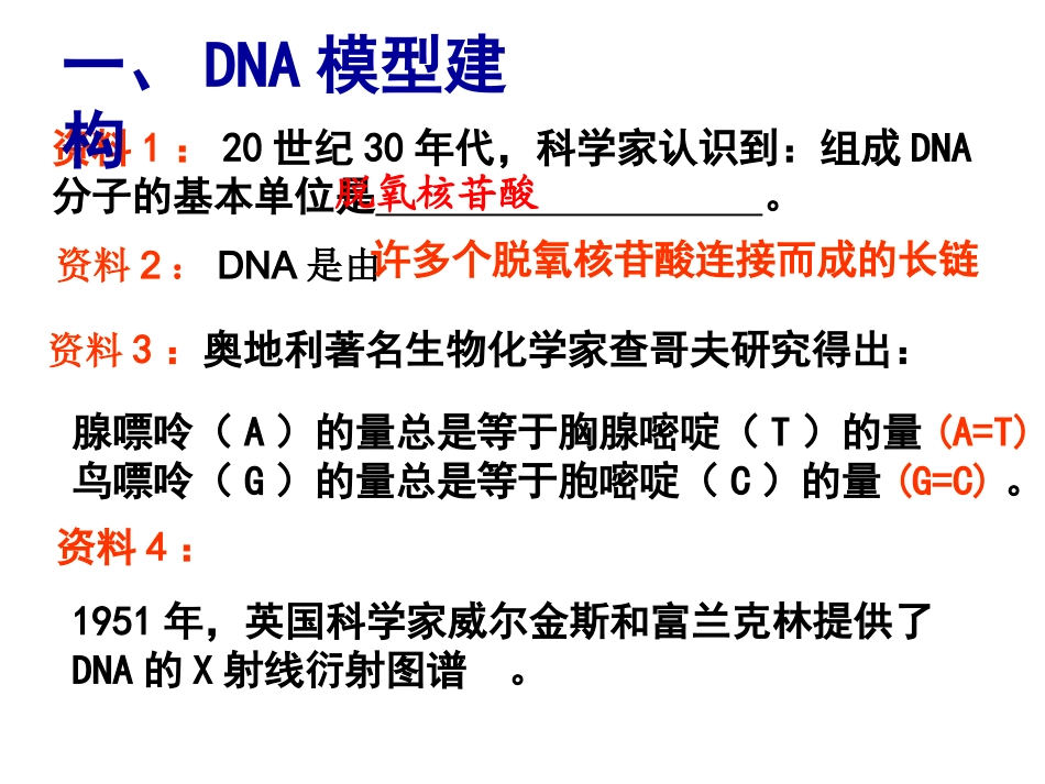 复习DNA的结构_第2页