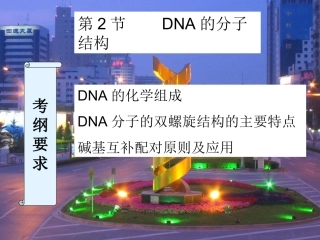 复习DNA的结构