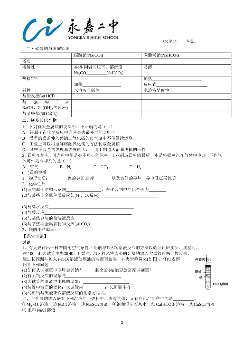 第一单元钠镁及其化合物_第2页