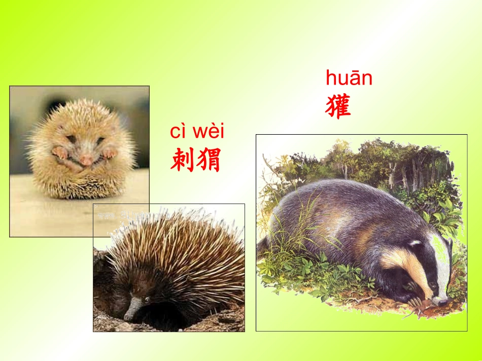 人教版语文二上18《称赞》课件(3)_第1页