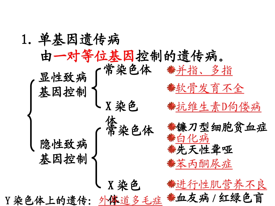 第5章第3节人类遗传病_第3页