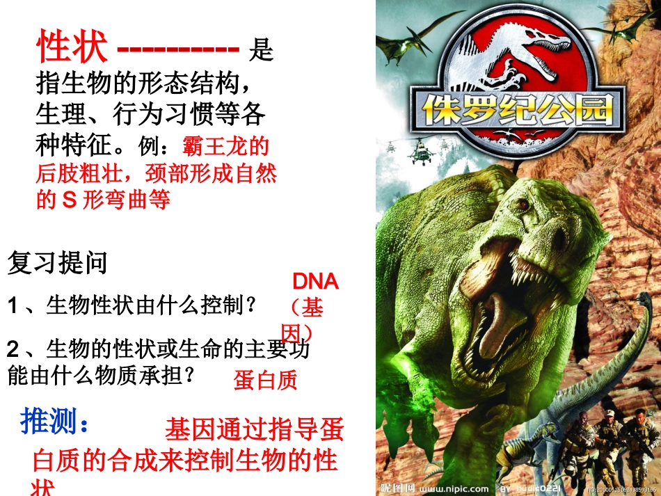 基因控制蛋白质的合成公开课—ly-2015526_第1页
