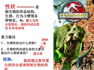 基因控制蛋白质的合成公开课—ly-2015526