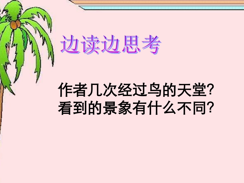 鸟的天堂PPT课件_第3页