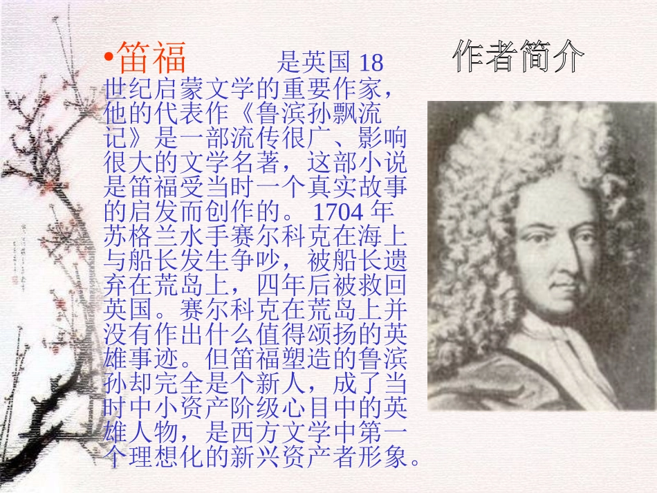 (人教新课标)六年级语文课件_鲁滨孙漂流记_第2页