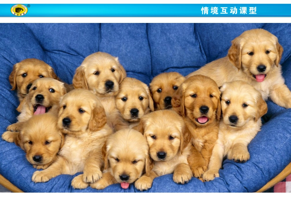 集合的含义与表示第课时集合的含义 _第3页