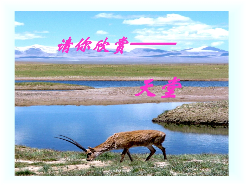 《珍惜资源》口语交际课件_第1页