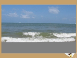 在大海中永生