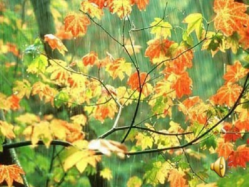 沪江小学资源网_11、秋天的雨_2013010753201050_861_第3页