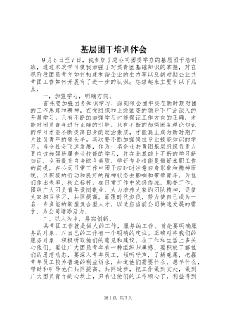 基层团干培训体会